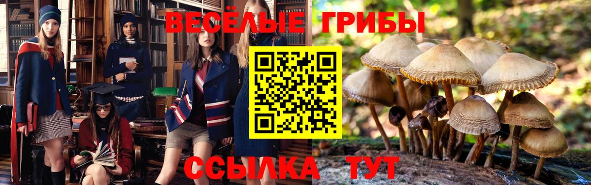 Нягань  Галлюциногенные грибы Magic Shrooms  Вход с VPN  купить наркотик  Псилоцибиновые грибы Magic Shrooms 