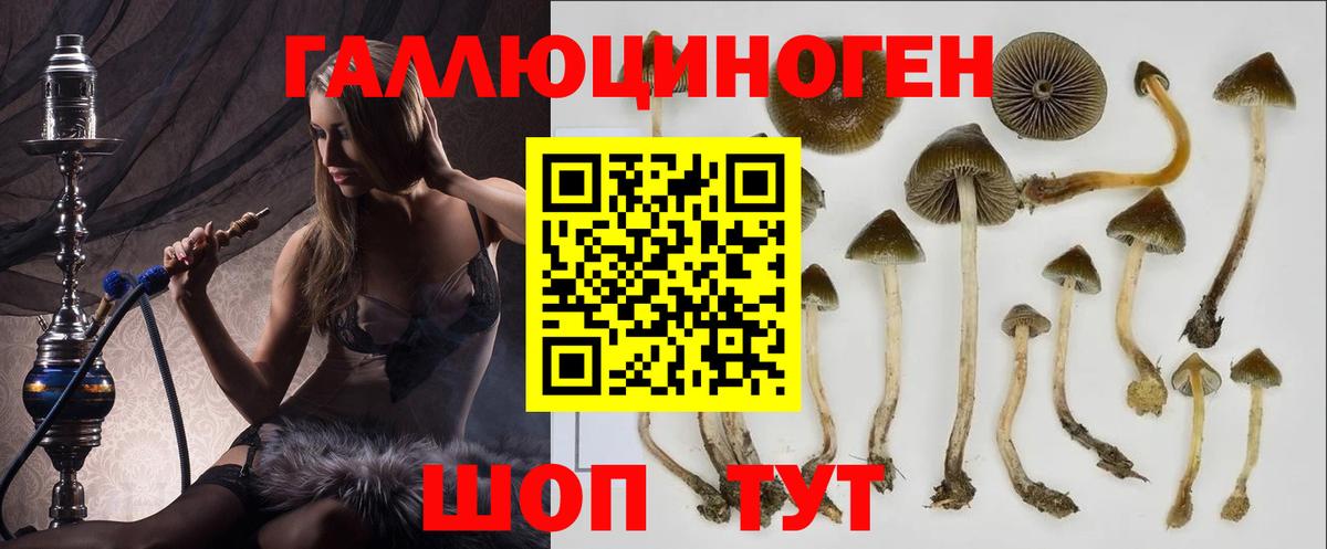 Галлюциногенные грибы Cubensis Нягань